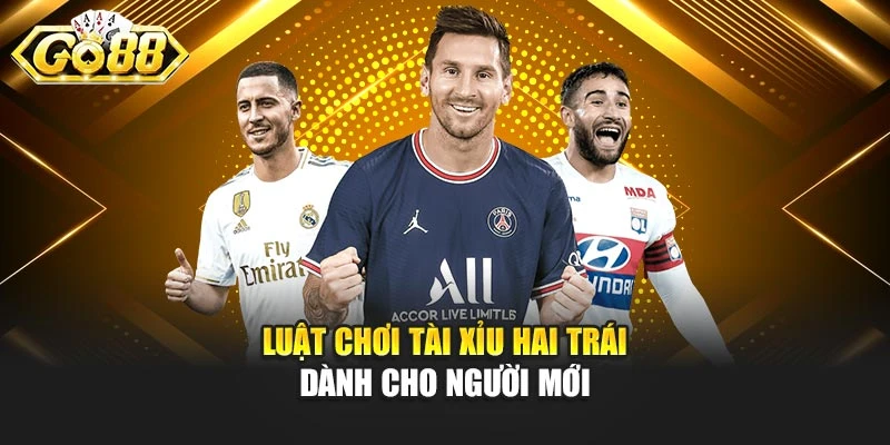 Luật chơi tài xỉu hai trái dành cho người mới