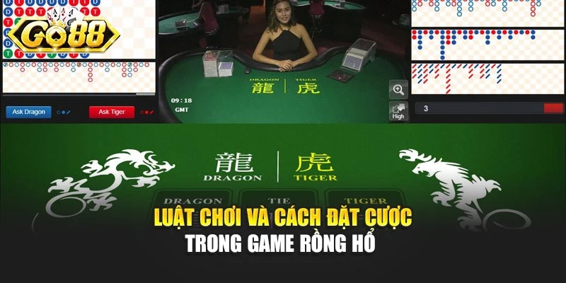 Luật chơi và cách đặt cược trong game Rồng Hổ 
