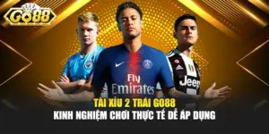 Tài Xỉu 2 Trái GO88 - Kinh Nghiệm Chơi Thực Tế Dễ Áp Dụng